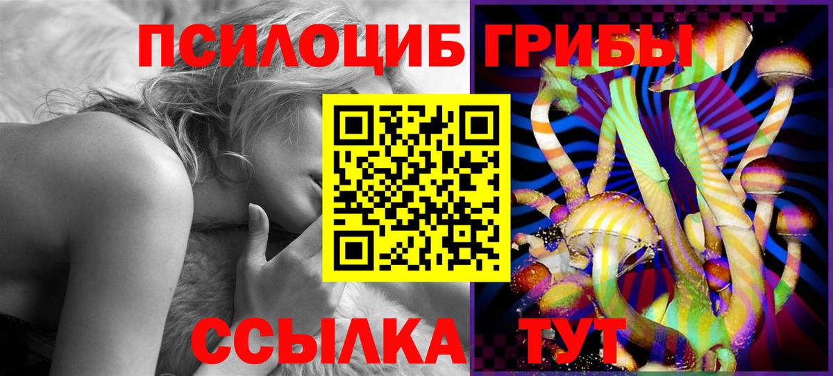 Галлюциногенные грибы Cubensis Сегежа