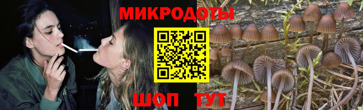 Псилоцибиновые грибы ЛСД  дарнет шоп  Сегежа  Вход с VPN 